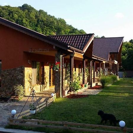 Pensiunea Raiul Muntilor Sebiş 外观 照片